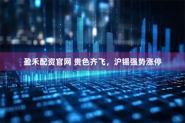 盈禾配资官网 贵色齐飞，沪锡强势涨停