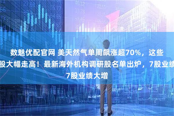 数魅优配官网 美天然气单周飙涨超70%，这些概念股大幅走高！最新海外机构调研股名单出炉，7股业绩大增